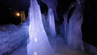 涼しい！自然のクーラー