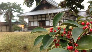 秀吉とねねの木造の特別公開！