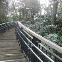 さぁ、丘を登ります