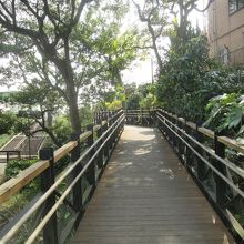 この通路を渡ると…