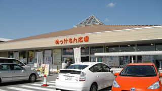 凄い賑わいでした