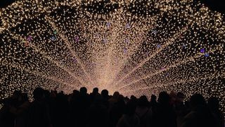 一見の価値あり