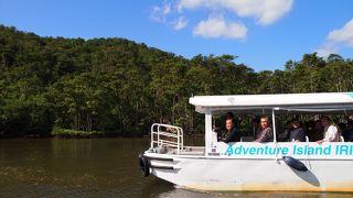 便数が多いし、お薦めできます。