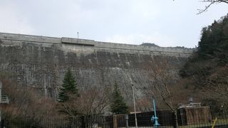 曲渕ダム貯水池  早良区