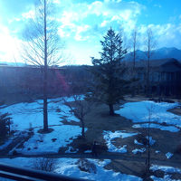 ベランダから見た中庭