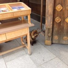 みんなのカメラの先いたものは・・・