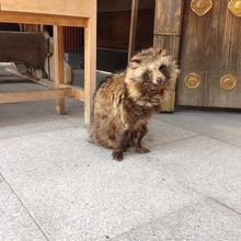 しかもカメラ目線・・・小首までかしげちゃってる