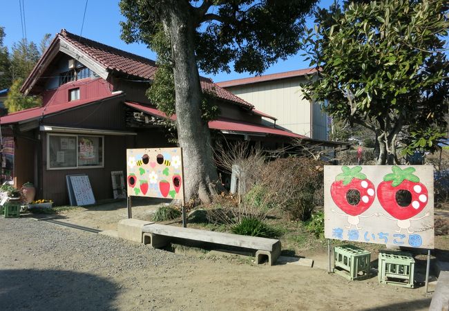 渡邉いちご園 クチコミ アクセス 営業時間 君津 フォートラベル 渡邉いちご園 クチコミ アクセス 営業時間 君津 フォートラベル