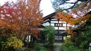 色々な花が咲いていました！