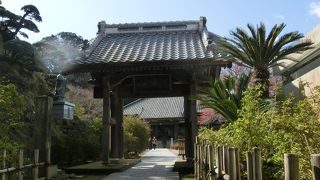 ニッポンの夜明け☆