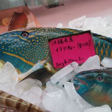 沖縄らしいカラフルな魚も