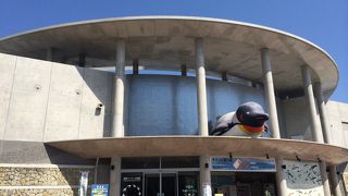 ペンギン好きにはたまりません。