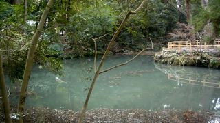 美しい雰囲気。