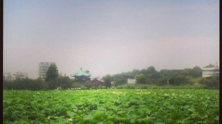 都会とは思えない田園風景