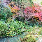 瑞巌寺庭園の紅葉