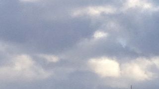 札幌の自然の象徴