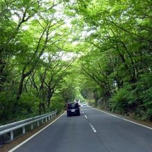 大涌谷に向かいます