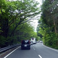 まだ１０時前なのにすでに渋滞