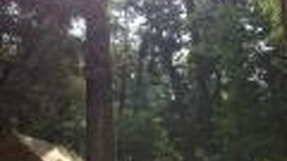 日本人なら一度は！