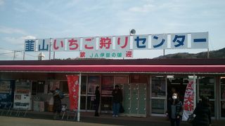 水分たっぷりなのに甘い！