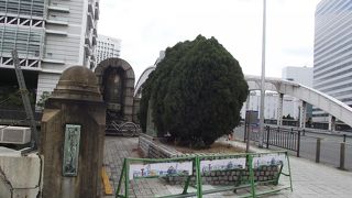 堂島川に架かる多くの橋の一つです