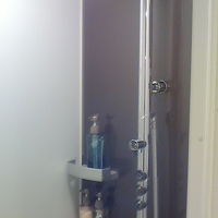 中心のものがシャワーです