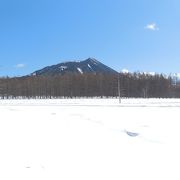 雪原の光徳牧場は、すがすがしい。