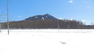 雪原の光徳牧場は、すがすがしい。