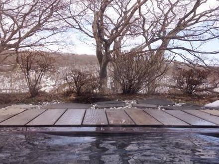 鹿の湯源泉かけ流しの宿 松川屋 那須高原ホテル 写真