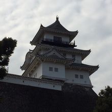 掛川城を見上げる