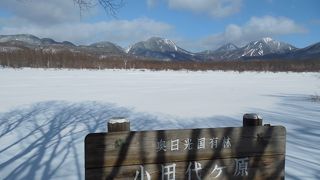 静かで明るい小田代ヶ原をスノーシューでハイキング