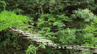 朽ちた吊り橋・・・秘境の雰囲気