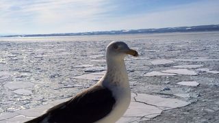 オホーツク出身でも一度は行くべき！