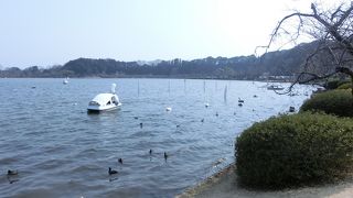 気持ちの良い水辺。