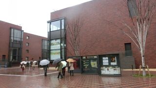 悲母観音をみられる