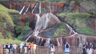 （新北）色がちょっと…びっくりでした