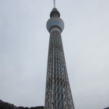 スカイツリー