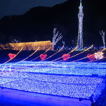 シャクナゲパーク　ライトアップ