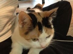 Hi Korea Guesthouse 写真