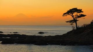 神奈川県民の母なる海