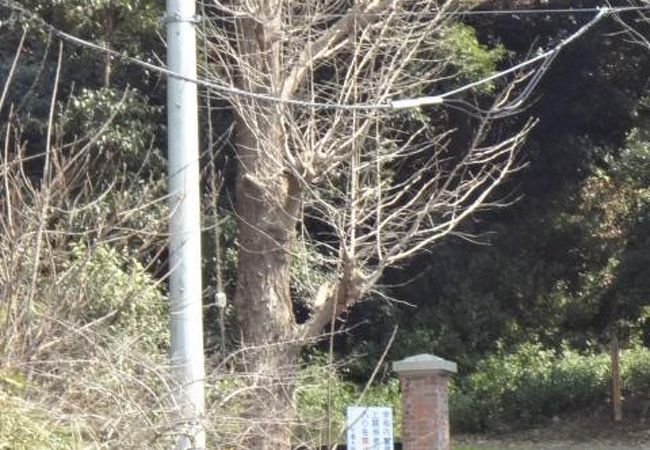 千葉大学園芸学部 松戸キャンパス クチコミ アクセス 営業時間 松戸 フォートラベル 千葉大学園芸学部 松戸キャンパス クチコミ アクセス 営業時間 松戸 フォートラベル