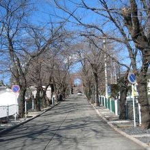 一番下から上を望む