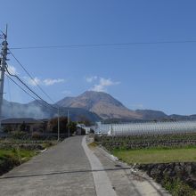 ビニールハウスの畑より