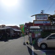 3月の立ち寄りがベストの道の駅です