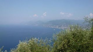 サン ロッコ (カモーリ)