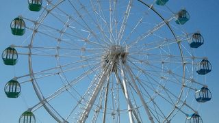 たくさんの動物達と触れあえます