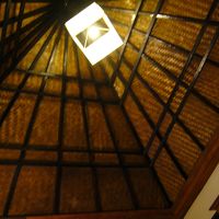 この天井をヤモリのようなものが・・・