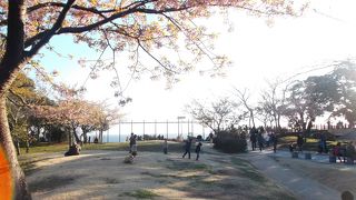 江の島頂上付近の広場です