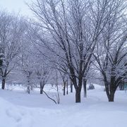 雪がたくさん積もって冬らしい景色