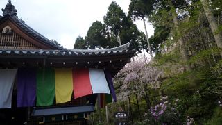 穏やかな京都を楽しめる場所